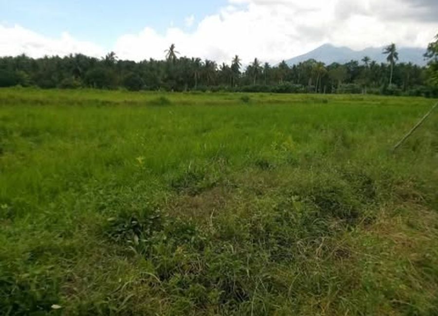 9th Street, Maslun, Oples, Liliw, Laguna