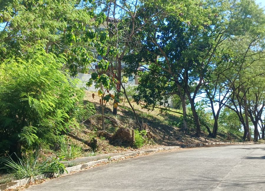 Forest Hills Avenue, Lower Tulakin, Bagong Nayon, Antipolo, Rizal image 3