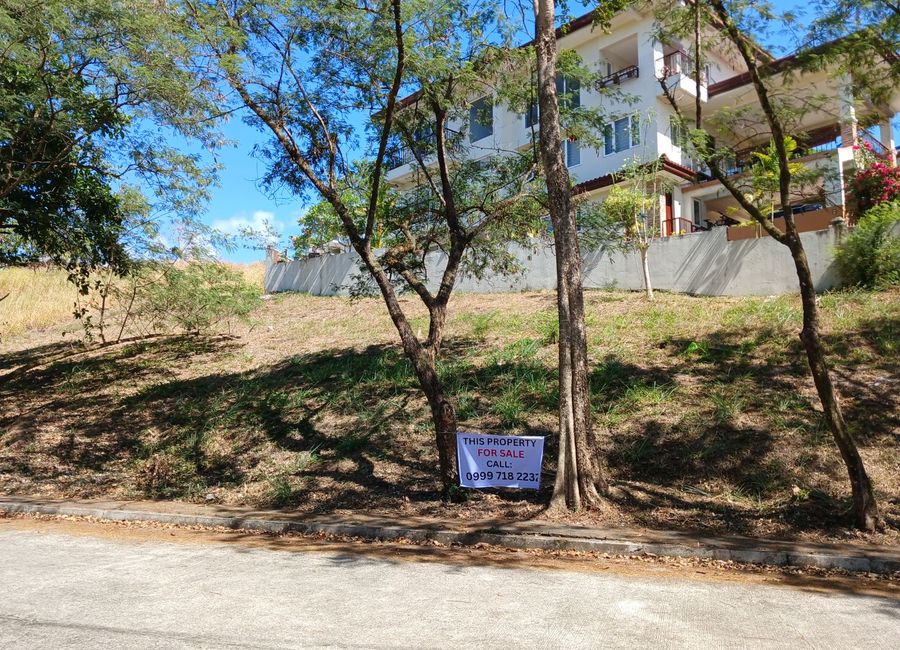 Forest Hills Avenue, Lower Tulakin, Bagong Nayon, Antipolo, Rizal