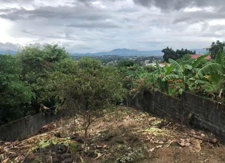 Dollar Street, Lores Country Homes, San Roque, Antipolo, Rizal