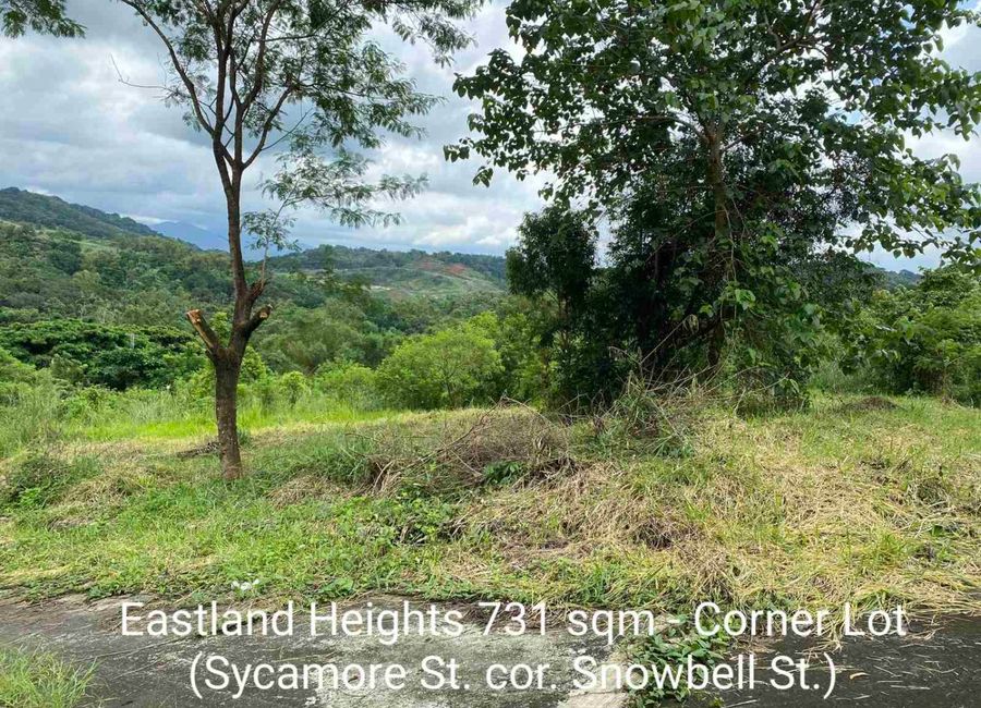 Forest Hills Avenue, Lower Tulakin, Bagong Nayon, Antipolo, Rizal image 2