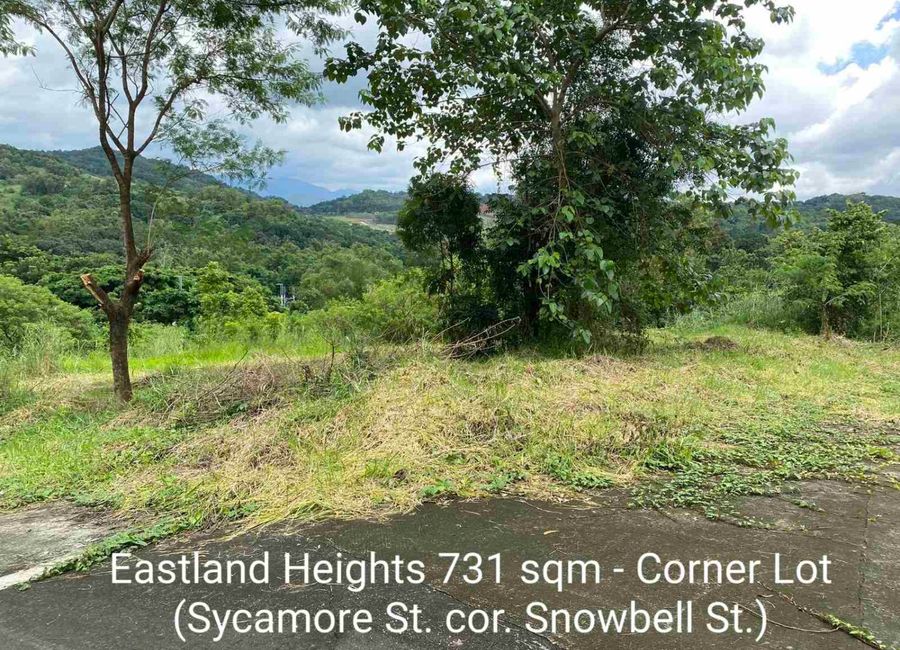 Forest Hills Avenue, Lower Tulakin, Bagong Nayon, Antipolo, Rizal