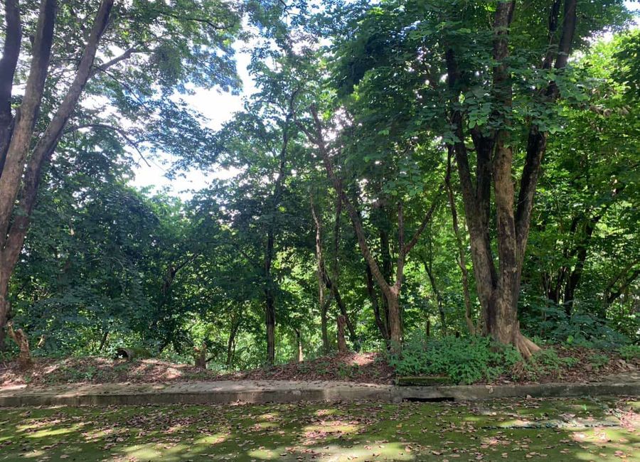 Kent Street, Town & Country Estates, Santa Cruz, Antipolo, Rizal image 2