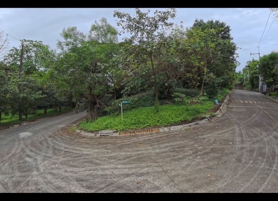 Parkridge Drive, Park Ridge, Santa Cruz, Antipolo, Rizal