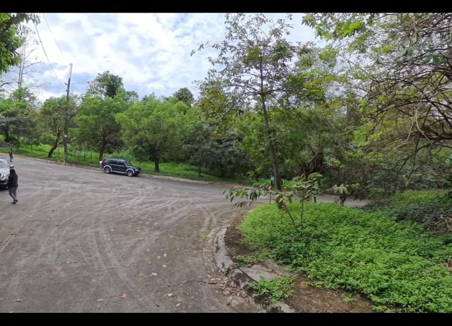 Parkridge Drive, Park Ridge, Santa Cruz, Antipolo, Rizal image 3