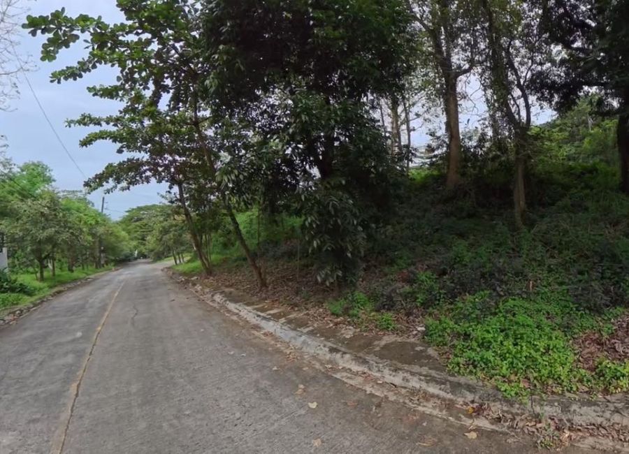 Parkridge Drive, Park Ridge, Santa Cruz, Antipolo, Rizal