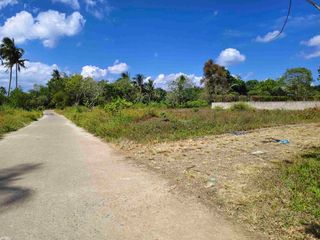 752 SQM RESI-FARM LOT FOR SALE INDANG CAVITE