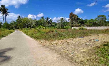 752 SQM RESI-FARM LOT FOR SALE INDANG CAVITE