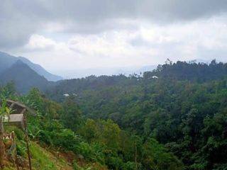 MILIKI HUTAN PRIBADI 6,5 HA DI BALI – INVESTASI ECO-DESTINATION DEKAT TURYAPADA TOWER