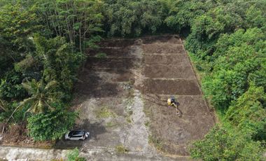 Dijual Tanah Strategis Utara Pasar Cebongan