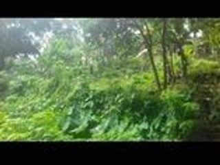 897 sqm Lot for Sale in San Pablo ,Laguna