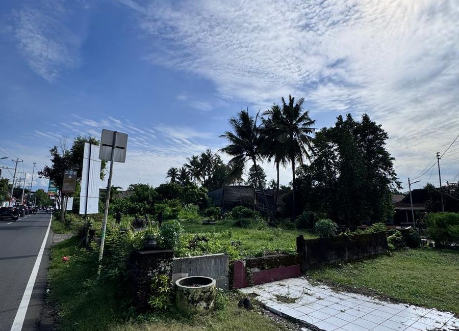 place photo 2