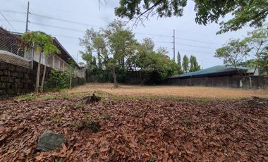 FOR SALE: ₱403M Premier Residential Lot – Bel-Air 3, Makati City