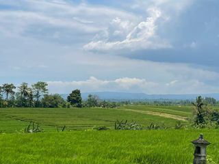 Murah! Dijual Cepat Tanah Luas 46 Are View Sawah, Laut dan Gunung Dekat Pantai Kelating, Tabanan