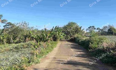 Land for Sale in  Rodeo Countryside Estate Alfonso Cavite