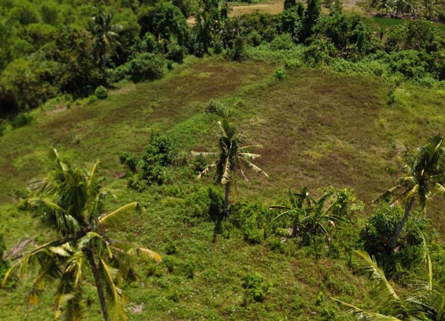 6,000+ SQM RIVERFRONT FARM LOT FOR SALE – M. Roxas, Trinidad, Bohol ...