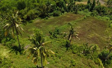 6,000+ SQM RIVERFRONT FARM LOT FOR SALE – M. Roxas, Trinidad, Bohol