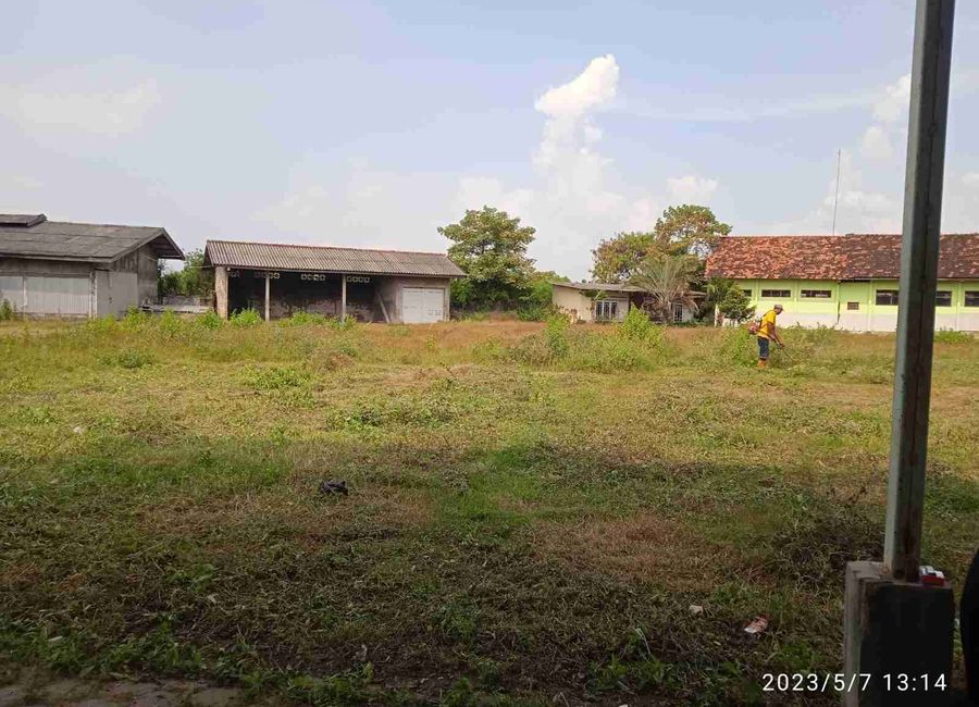 place photo 7