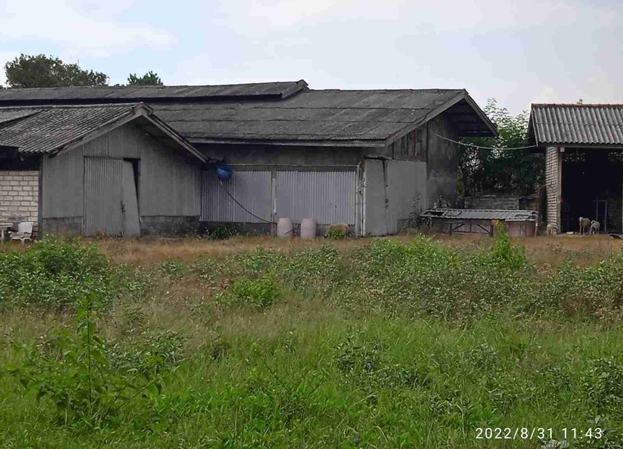 place photo 8