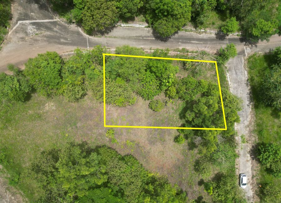 Forest Hills Avenue, Lower Tulakin, Bagong Nayon, Antipolo, Rizal
