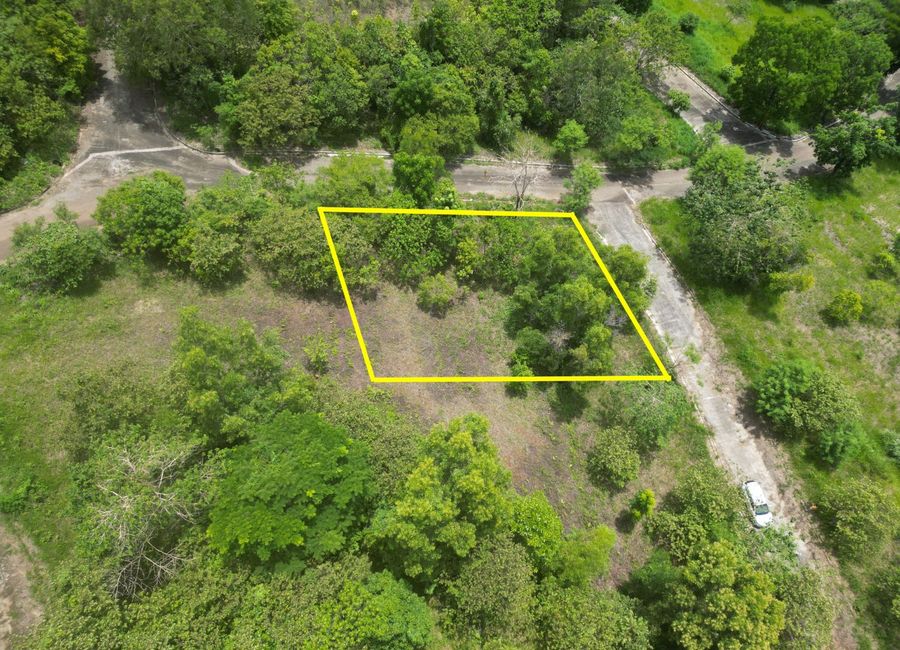 Forest Hills Avenue, Lower Tulakin, Bagong Nayon, Antipolo, Rizal image 2