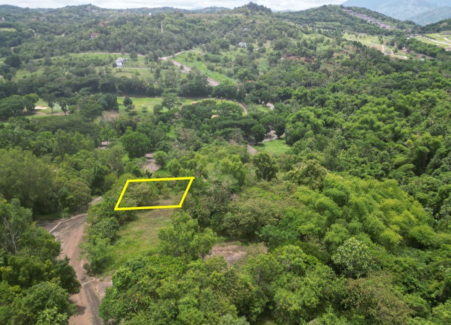 Forest Hills Avenue, Lower Tulakin, Bagong Nayon, Antipolo, Rizal image 3
