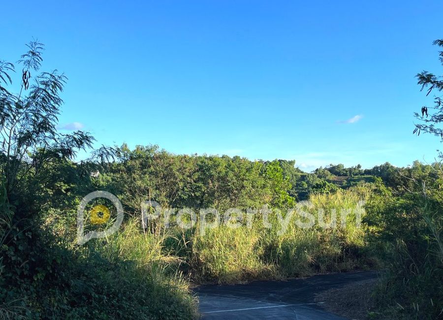 Forest Hills Avenue, Lower Tulakin, Bagong Nayon, Antipolo, Rizal image 2