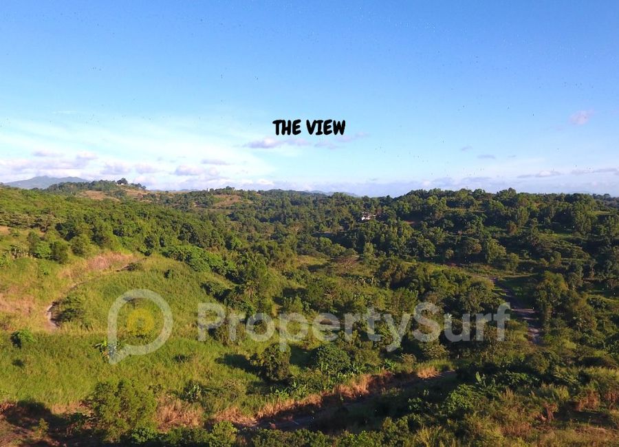 Forest Hills Avenue, Lower Tulakin, Bagong Nayon, Antipolo, Rizal