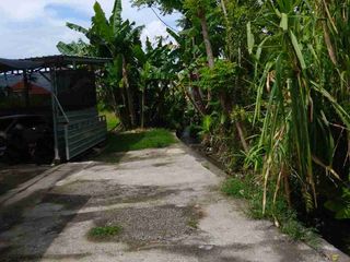 Di jual tanah jalan Kwanji , Sempidi, Badung , Bali