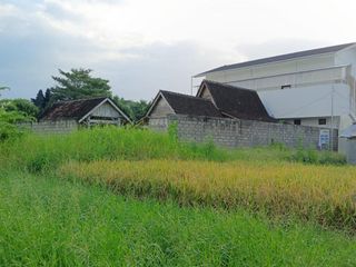 Land 12 Are For Leasehold 25 Years, In Munggu, Badung Area