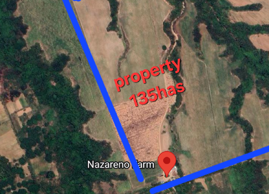 Naic–Indang Road, Mango Orchard Fil-State, Halang, Palangue 1, Naic, Cavite