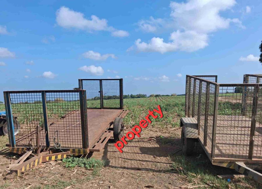 Naic–Indang Road, Mango Orchard Fil-State, Halang, Palangue 1, Naic, Cavite image 3
