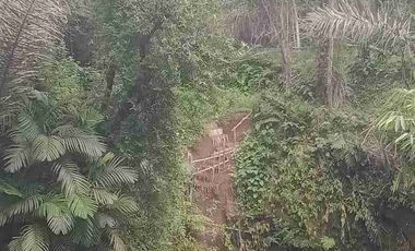 tanah exotice junggle view, tersembunyi bali