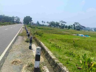 sawah SEndang agung minggir