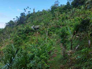 tanah murah karangasem bali