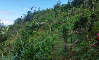 tanah murah karangasem bali