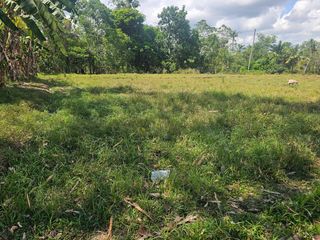 1,041 sqm clean title lot for sale idea for apartment/boardinghouse Trinidad Municipal College Trinidad Bohol Philippines