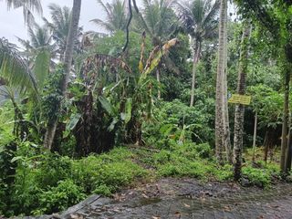TANAH MURAH KAWASAN VILLA MEWAH SANGAT TENANG DEKAT PANTAI SABA GIANYAR