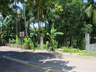 441 SQM Fenced Lot Along Main Road – Near Consuelo Port, Camotes Island
