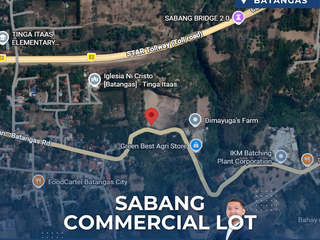 Commercial Lot for Sale in San Jose Ibaan Batangas City Along Ibaan Batangas Road with Wide Land Area Investment Opportunity
