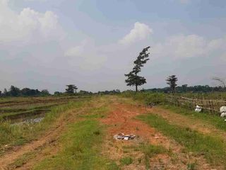 Kavling Luas 2400 m2 Di Tigaraksa Bisa Untuk Perumahan Atau Gudang