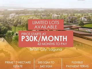 LOTS FOR SALE IN BINAN LAGUNA