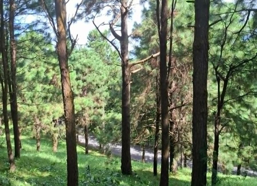 place photo 26