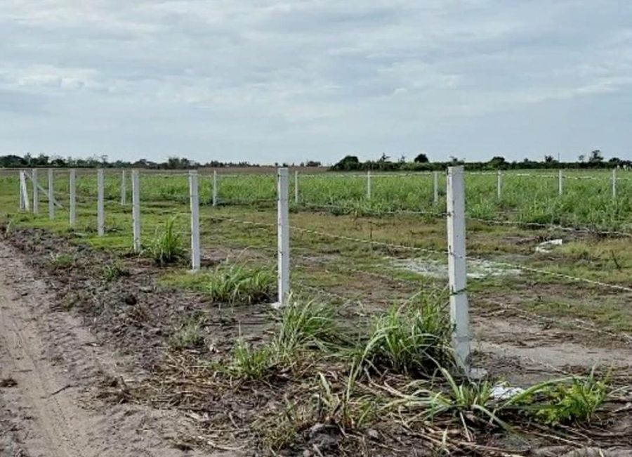 Agricultural Lot 6,600 sqm fully fence with two gates for Sale in La ...