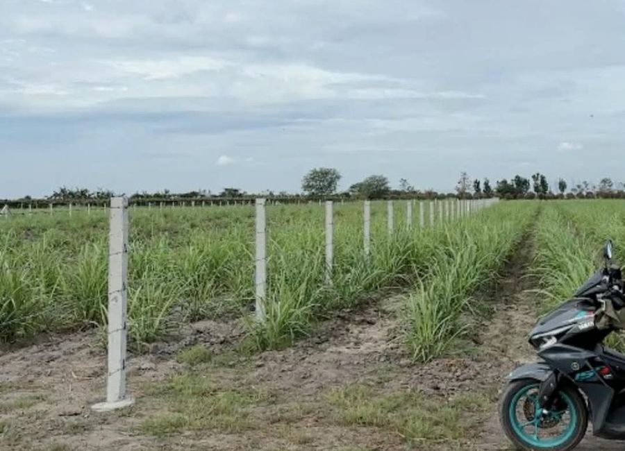 Agricultural Lot 6,600 sqm fully fence with two gates for Sale in La ...