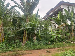 PREMIUM RESIDENTIAL LOT IN BRGY. SAN JOSE, PUERTO PRINCESA CITY