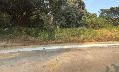 FOR SALE: 652 SQM Residential Lot in  Parkridge Estate, Antipolo, Rizal