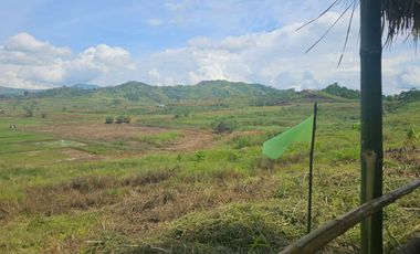 1000 SQM FOR 195K - OVERLOOKING MINIFARM FOR REST HOUSE!!!