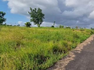 Tanah Langka Plot Kecil Hanya 200 meter ke Pantai Pererenan Canggu