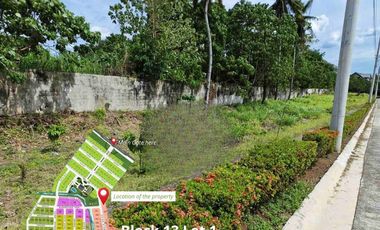 Hacienda Davao City- Corner Lot